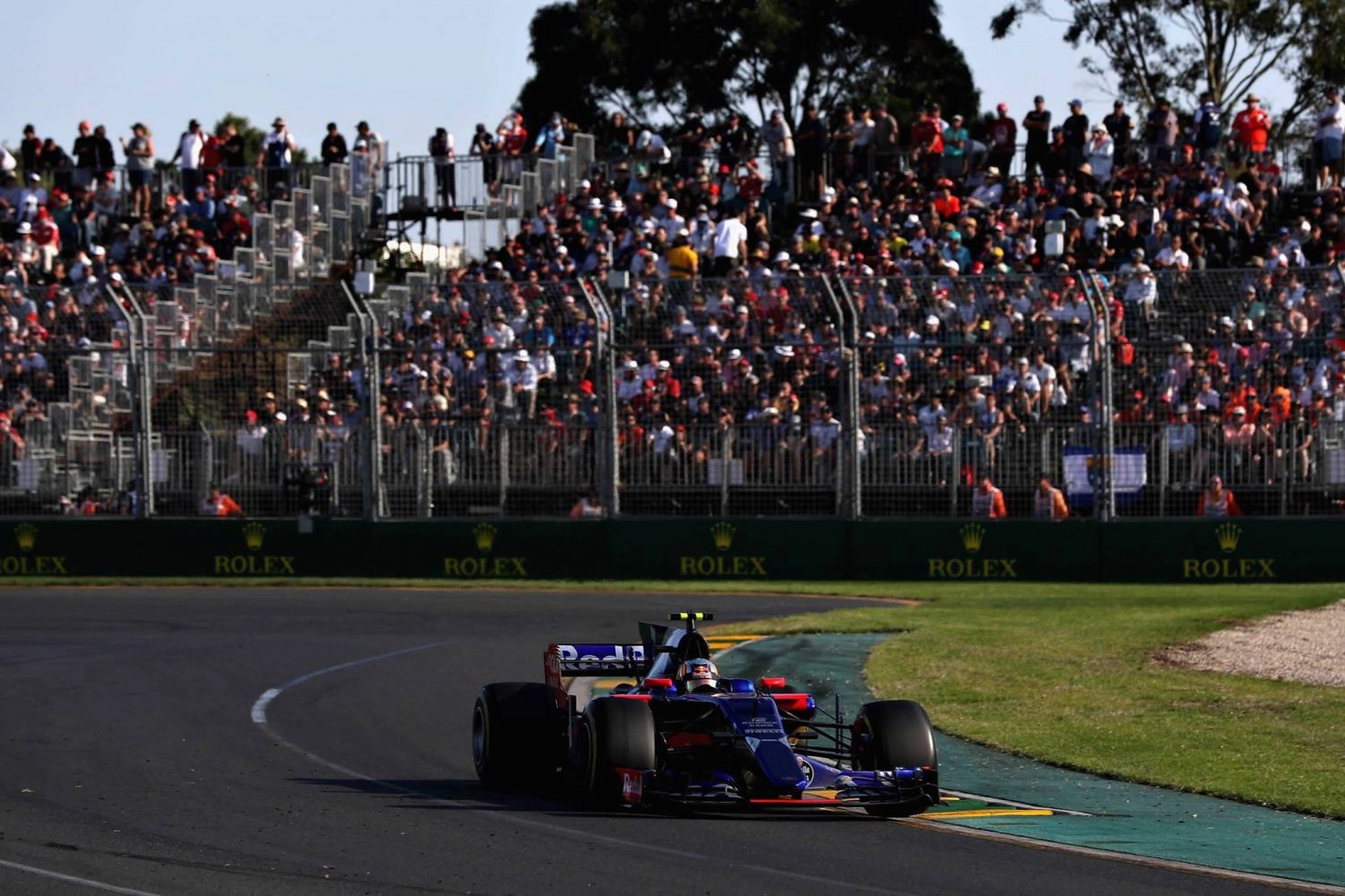 Toro Rosso: Sainz and Kvyat score early points