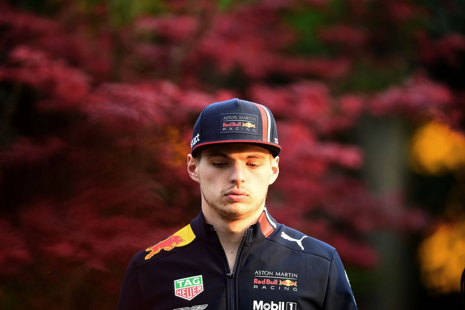 Official: Max Verstappen linked with Red Bull until 2023