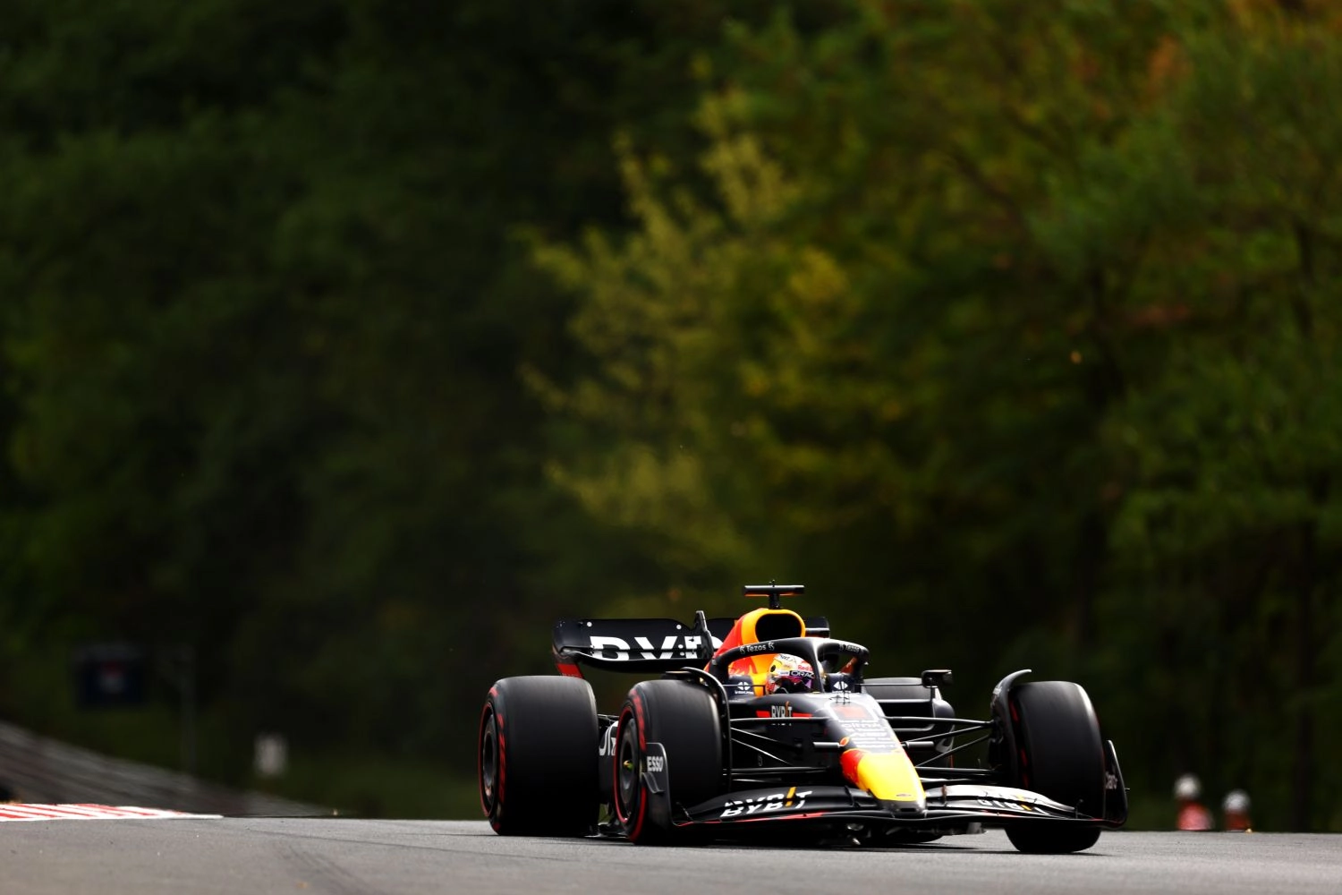 The best tweets from the Hungarian Grand Prix