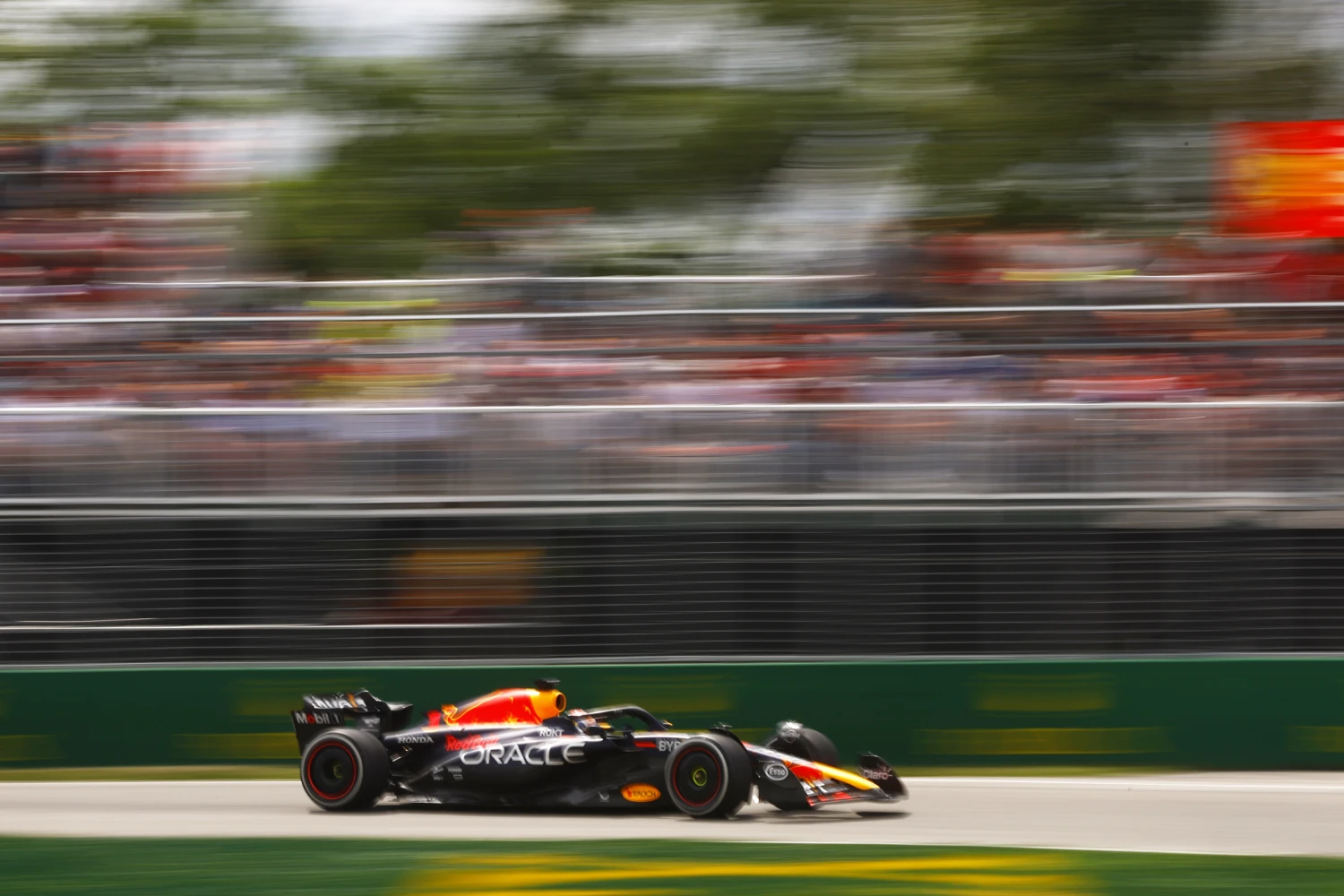 Max Verstappen did indeed collide with a bird in Canada