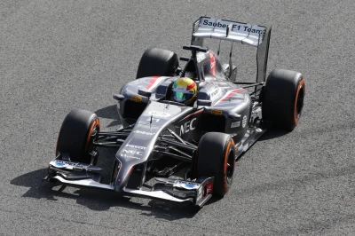 d_reinhard_jerez-test_2014_640