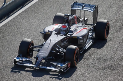 d_reinhard_jerez-test_2014_2225