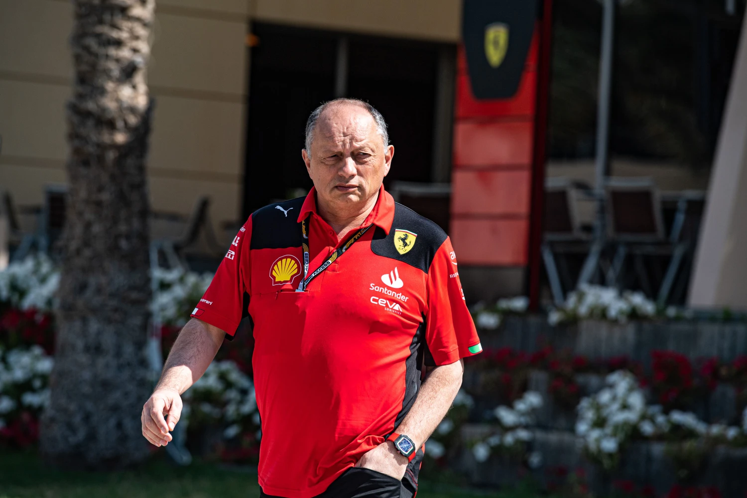 Frédéric Vasseur « convaincu » que la SF-23 peut concurrencer Red Bull